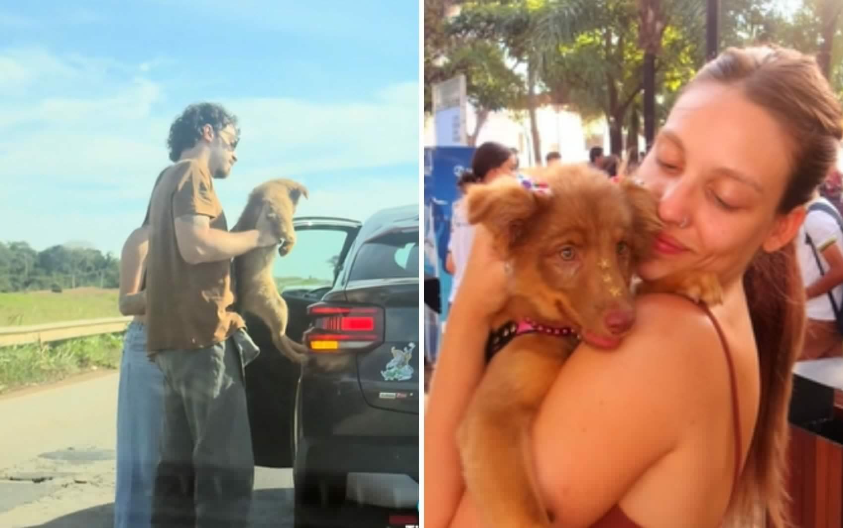 Laura Raynol e o companheiro salvaram cachorrinha de atropelamento — Foto: Reprodução/Tik Tok de Laura Reynol