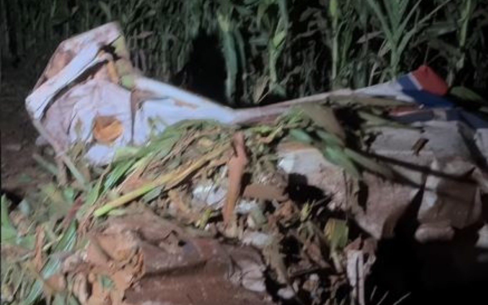 Avião de pequeno porte cai em Rio Verde — Foto: Reprodução/TV Anhanguera