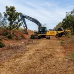 Operação preventiva nas BRs 060 e 452 inclui abertura de aceiros e manejo da vegetação para reduzir o risco de queimadas durante a estiagem em Goiás | Foto: Divulgação