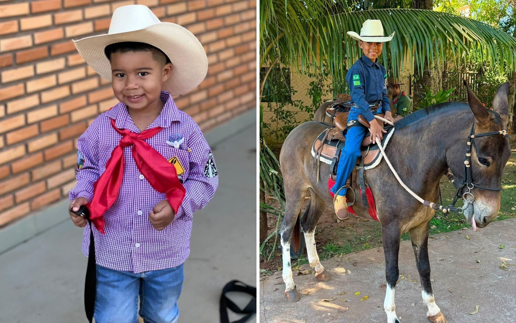 Criança reencontra mula perdida a caminho da Romaria de Trindade e comemora; Pedro Henrique começou na romaria aos 3 anos — Foto: Arquivo Pessoal/Gabriela Ferreira