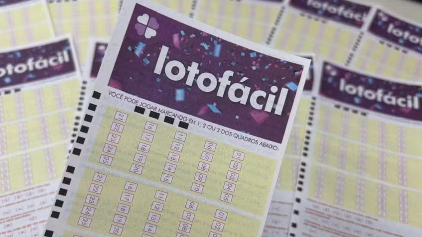 Lotofácil — Foto: Millena Sartori/g1