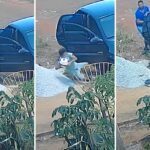 Momento em que menino cai segurando o bolo. — Foto: Arquivo Pessoal/Cláudio de Jesus